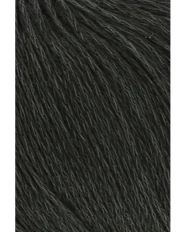<span class="yarn-title">Vaya</span> <span class="yarn-color">98 Waldgrün</span>