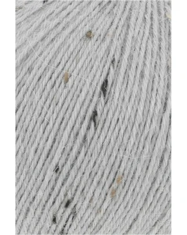 <span class="yarn-title">Alpaca Soxx Tweed</span> <span class="yarn-color">24 Grau</span>