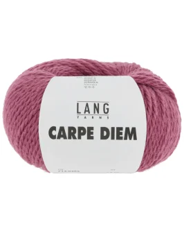 <span class="yarn-title">Carpe Diem</span> <span class="yarn-color">365 Himbeere Mélange</span>