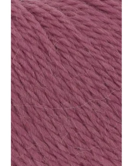 <span class="yarn-title">Carpe Diem</span> <span class="yarn-color">365 Himbeere Mélange</span>