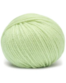 <span class="yarn-title">Cashmere Delizia</span> <span class="yarn-color">88 Spring Green</span>