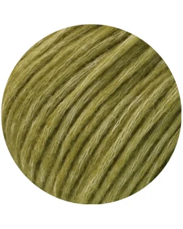 <span class="yarn-title">Brigitte No. 2 Vintage</span> <span class="yarn-color">208 Oliv Meliert</span>