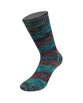 <span class="yarn-title">Meilenweit 100 Sooty</span> <span class="yarn-color">6222 Dunkel-/<wbr>Grau-/<wbr>Hellblau/<wbr>Grau-/<wbr>Schwarzgrün/<wbr>Dunkelviolett</span>