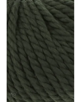 <span class="yarn-title">Fire</span> <span class="yarn-color">218 Pine</span>