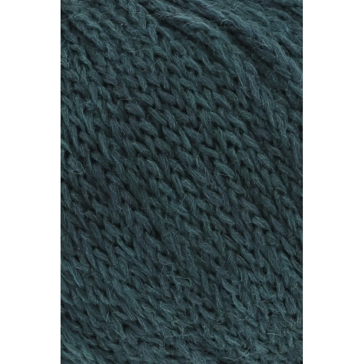 Memory 173 Dawn von Lang Yarns. This yarn makes it even easier to create memories with other knitters and crocheters. The yarn consists of 88% Merino Superfine and is coated with an anti-felt layer that keeps the yarn fibers nicely in place and extra stable.