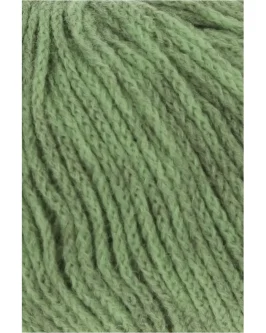 <span class="yarn-title">Nomad</span> <span class="yarn-color">17 Grün</span>