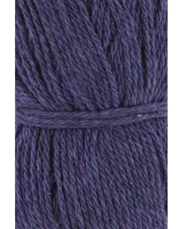 <span class="yarn-title">Donegal Woolen Spun</span> <span class="yarn-color">90 Violett</span>