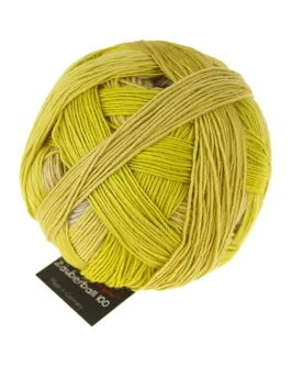 <span class="yarn-title">Zauberball® 100 Pro</span> <span class="yarn-color">2264 Licht Im Schacht</span>