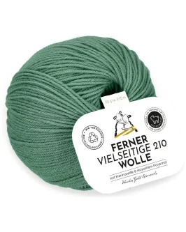 <span class="yarn-title">Vielseitige 210</span> <span class="yarn-color">V49 Frosty Spruce</span>