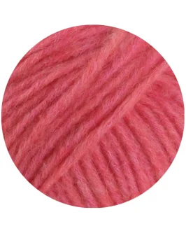 <span class="yarn-title">Ecopuno Chunky</span> <span class="yarn-color">145 Himbeer</span>