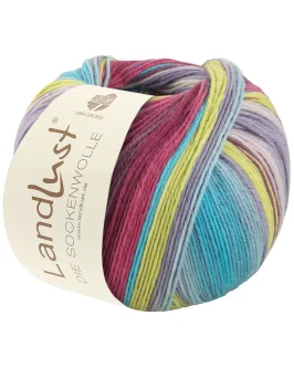 <span class="yarn-title">Landlust die Sockenwolle 6-Fach</span> <span class="yarn-color">934 Jade/<wbr>Limette/<wbr>Dunkelgrau/<wbr>Mint/<wbr>Türkis/<wbr>Bordeaux/<wbr>Hellgrau/<wbr>Dunkelrot Gestreift</span>