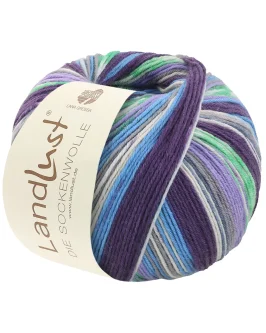 <span class="yarn-title">Landlust die Sockenwolle 6-Fach</span> <span class="yarn-color">938 Grau/<wbr>Mint/<wbr>Ecru/<wbr>Dunkelbraun/<wbr>Rost/<wbr>Türkis Gestreift</span>