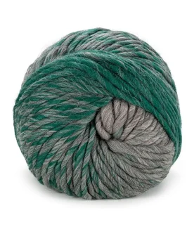 <span class="yarn-title">Chunky Dégradé</span> <span class="yarn-color">106 Grau/<wbr>Smaragdgrün</span>