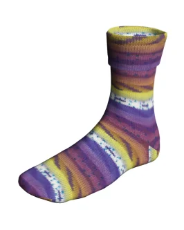 <span class="yarn-title">Super Soxx Color 4-Fach</span> <span class="yarn-color">543 Violett/<wbr>Gelb 1149 Birthday Cak</span>