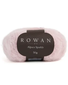 <span class="yarn-title">Alpaca Sparkle</span> <span class="yarn-color">10022 Ballet Slipper</span>