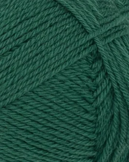 <span class="yarn-title">Sunday</span> <span class="yarn-color">7772 Rain Forest</span>