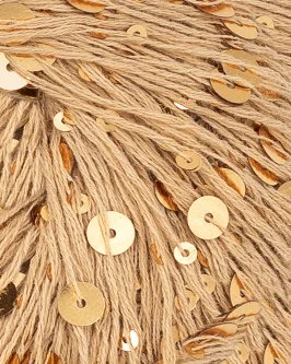 <span class="yarn-title">Paljett</span> <span class="yarn-color">2242 Gold Digger</span>