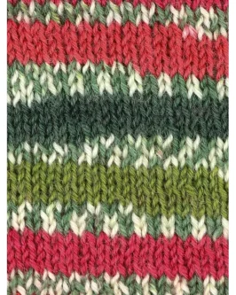 <span class="yarn-title">Signature 4-Fach Christmas</span> <span class="yarn-color">886 Holly Berry</span>