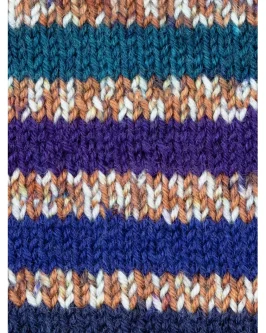 <span class="yarn-title">Signature 4-Fach Country Birds</span> <span class="yarn-color">1169 Starling</span>