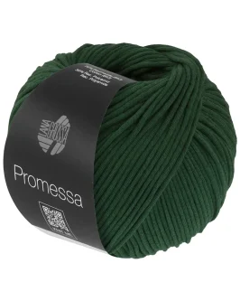 <span class="yarn-title">Promessa</span> <span class="yarn-color">38 Flaschengrün</span>