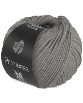 <span class="yarn-title">Promessa</span> <span class="yarn-color">40 Dunkelgrau</span>