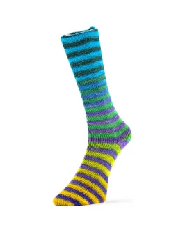 <span class="yarn-title">Paint Socks 6-Fach</span> <span class="yarn-color">8 Blau/<wbr>Grün/<wbr>Violett/<wbr>Gelb</span>