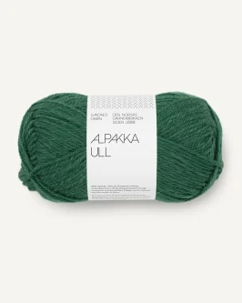 <span class="yarn-title">Alpakka Ull</span> <span class="yarn-color">7772 Rain Forest</span>