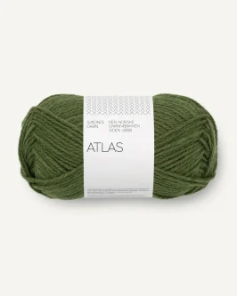 <span class="yarn-title">Atlas</span> <span class="yarn-color">9072 Mørk Grønnmelert</span>