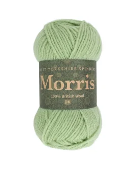<span class="yarn-title">Morris DK</span> <span class="yarn-color">1281 Sage</span>