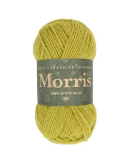 <span class="yarn-title">Morris DK</span> <span class="yarn-color">1283 Artichoke</span>