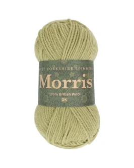 <span class="yarn-title">Morris DK</span> <span class="yarn-color">1284 Orchard</span>