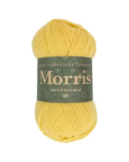<span class="yarn-title">Morris DK</span> <span class="yarn-color">1286 Daffodil</span>
