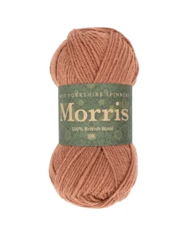 <span class="yarn-title">Morris DK</span> <span class="yarn-color">1289 Chrysanthemum</span>