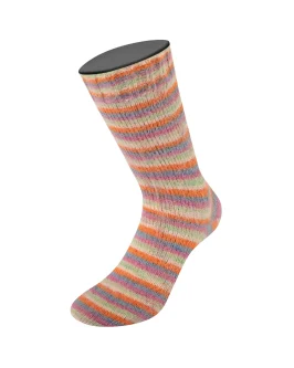 <span class="yarn-title">Cosy Socks Multi Stripes</span> <span class="yarn-color">154 Dunkelgrau/<wbr>Graublau/<wbr>Fuchsia/<wbr>Lichtgrün/<wbr>Creme/<wbr>Orange</span>