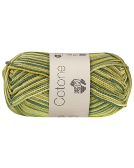 <span class="yarn-title">Cotone Print</span> <span class="yarn-color">367 Weiß-/<wbr>Kiwigrün/<wbr>Opal-/<wbr>Patinagrün</span>