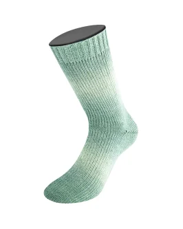 <span class="yarn-title">Meilenweit 100 Woolycell Duo</span> <span class="yarn-color">6007 Salbei-/<wbr>Heu-/<wbr>Pastellgrün</span>