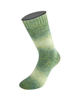 <span class="yarn-title">Meilenweit 100 Woolycell Duo</span> <span class="yarn-color">6008 Oliv-/<wbr>Graugrün/<wbr>Graubeige</span>