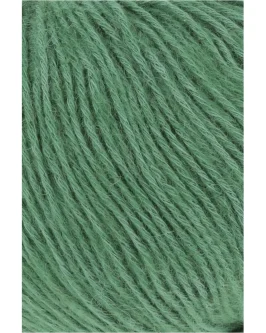 <span class="yarn-title">Regina</span> <span class="yarn-color">18 Dunkelgrün</span>