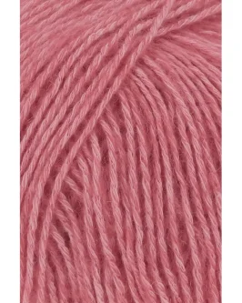 <span class="yarn-title">Regina</span> <span class="yarn-color">29 Melone</span>