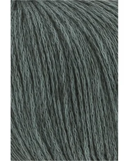 <span class="yarn-title">Vaya</span> <span class="yarn-color">8 Graugrün</span>