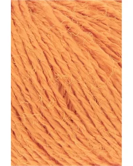 <span class="yarn-title">Ananas+</span> <span class="yarn-color">59 Orange</span>