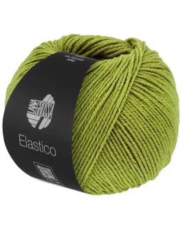 <span class="yarn-title">Elastico</span> <span class="yarn-color">202 Pistazie</span>