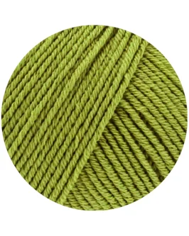 <span class="yarn-title">Elastico</span> <span class="yarn-color">202 Pistazie</span>