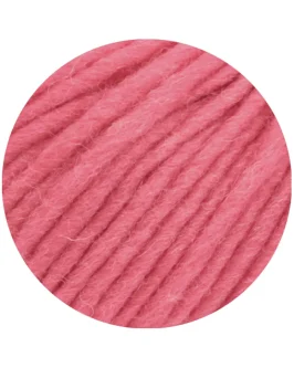 <span class="yarn-title">Feltro Uni</span> <span class="yarn-color">123 Bonbonrosa</span>