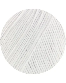 <span class="yarn-title">Filo Lurex</span> <span class="yarn-color">1 Weiß</span>