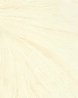 <span class="yarn-title">Tynn Silk Mohair</span> <span class="yarn-color">2009 Lemon Icing</span>