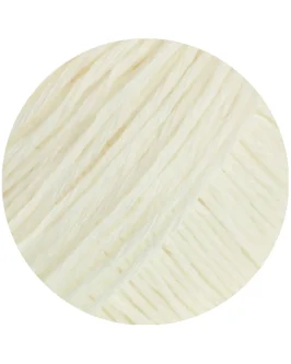 <span class="yarn-title">Tencellino</span> <span class="yarn-color">2 Rohweiß</span>