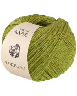 <span class="yarn-title">Tencellino</span> <span class="yarn-color">5 Pistazie</span>