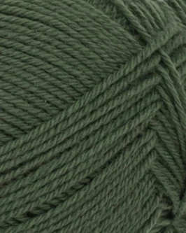 <span class="yarn-title">PetiteKnit Sunday</span> <span class="yarn-color">9581 Pine</span>