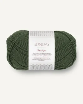 <span class="yarn-title">PetiteKnit Sunday</span> <span class="yarn-color">9581 Pine</span>